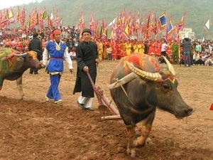 Hà Nam ouverture de la fête Tich Dien
